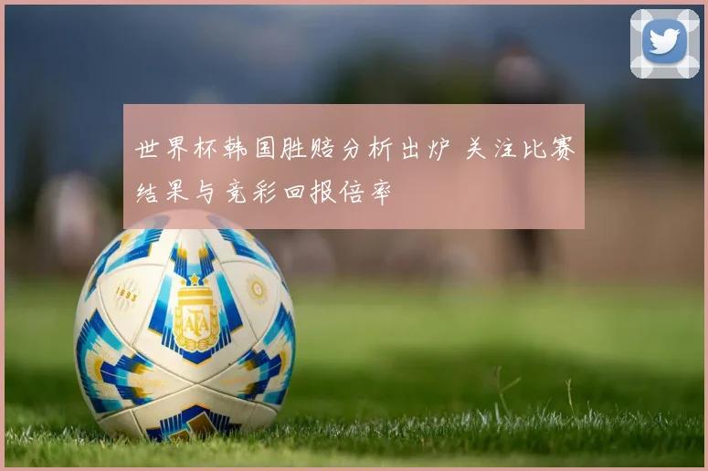 世界杯韩国胜赔分析出炉 关注比赛结果与竞彩回报倍率