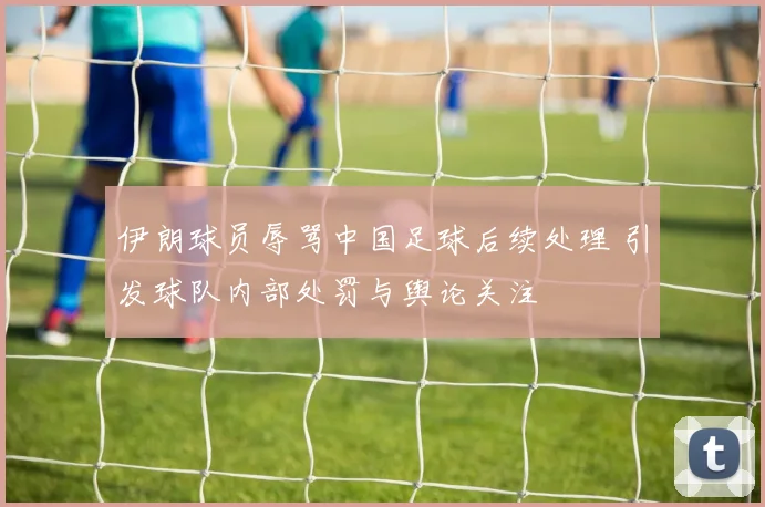 伊朗球员辱骂中国足球后续处理 引发球队内部处罚与舆论关注